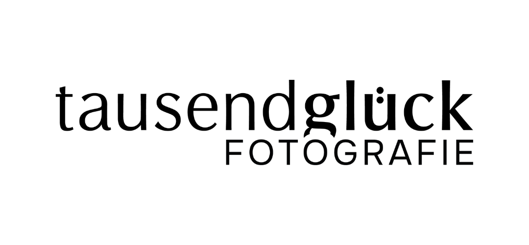 Website Logofolio 2